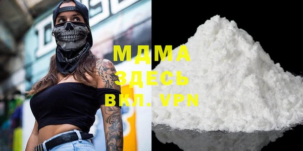 индика Вяземский
