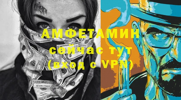 индика Вязники