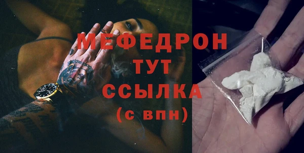 индика Вяземский