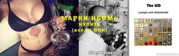индика Вяземский