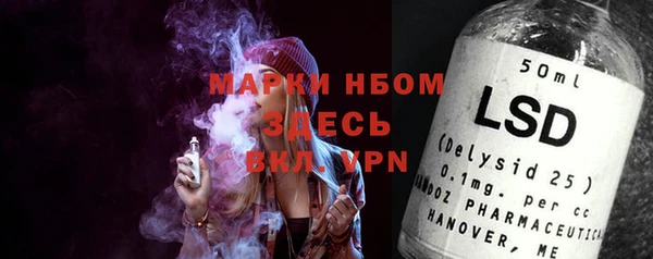индика Вязники