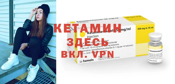индика Вяземский