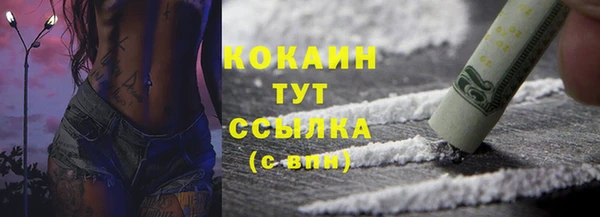 индика Вяземский