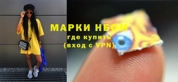 индика Вязники