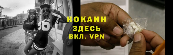 индика Вяземский