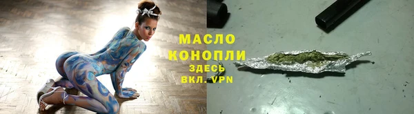 индика Вяземский
