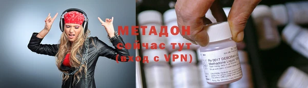индика Вяземский