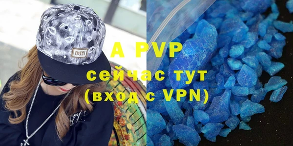 индика Вяземский