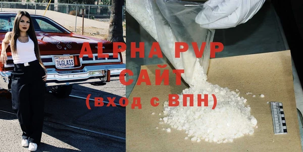 индика Вяземский