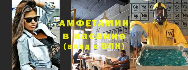 индика Вяземский
