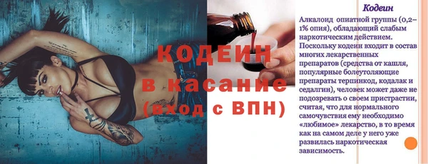 индика Вязники
