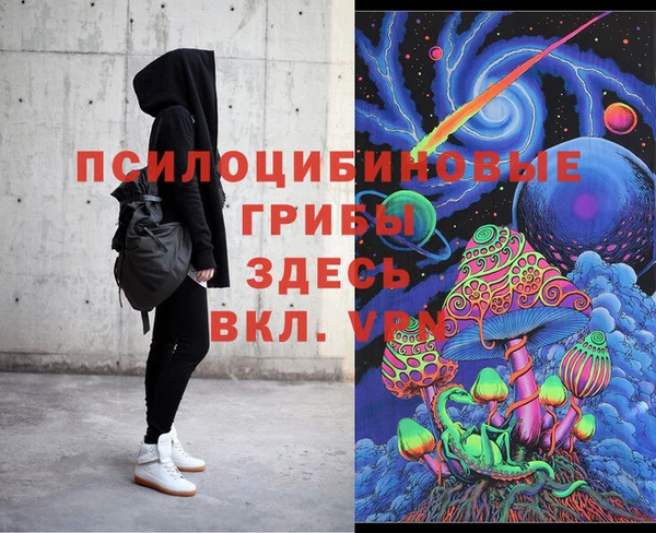 индика Вязники