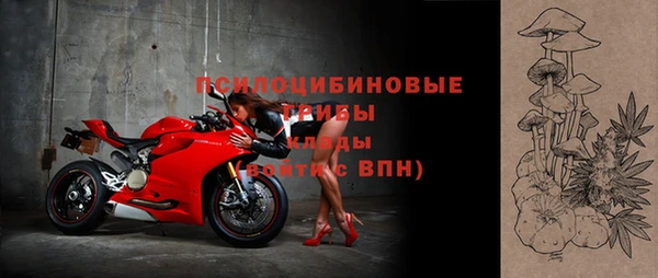индика Вяземский