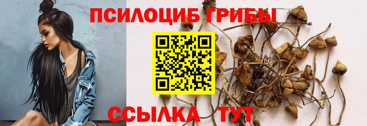 Галлюциногенные грибы GOLDEN TEACHER  Вход с VPN  Елец  Галлюциногенные грибы Cubensis 